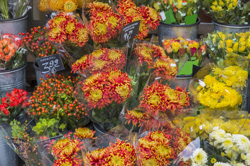 Auswahl an Blumen vor einem Blumenladen