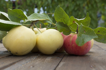 Garden apples on wooden boards