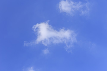 Fototapeta na wymiar Horse cloud.