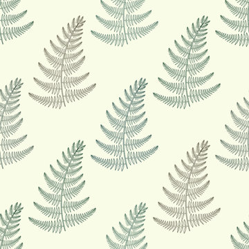 Zentangle vector green Fern seamless pattern. Ornamental tribal