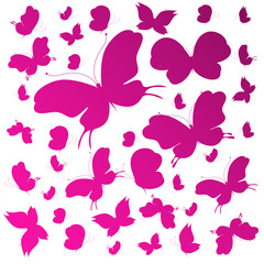 butterflies design