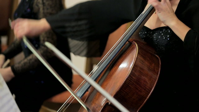 Female Musician Playing The Cello