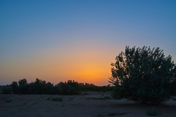 Fototapeta na wymiar sun set on the desert