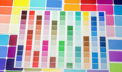 color palette guide