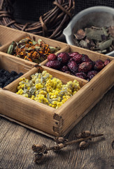 Dried medicinal herb