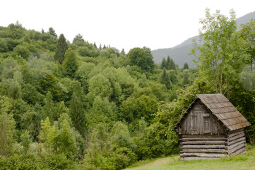 Fototapeta na wymiar Old Cabin near Vlkolinec Village - Slovakia