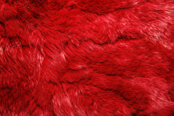 Close-up of lapin colored fur for texture background