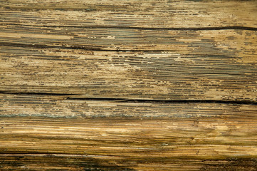 Fototapeta premium The detailed texture of the old solid wood with cracks horizontal
