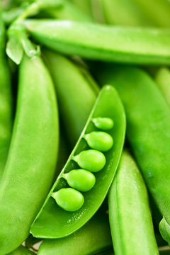 green pea pods isolated on white background