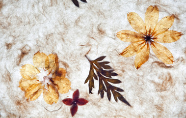 handmade paper background with textures