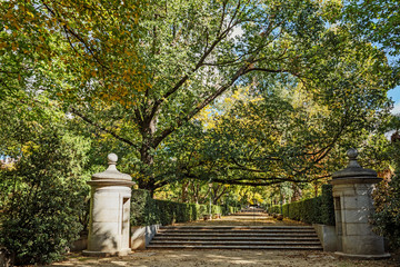 Fototapeta premium Madrid, Real Jardín Botánico, Paseo del Prado
