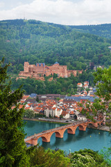 Fototapeta na wymiar Alte Brucke bridge, Heidelberg through fir tree