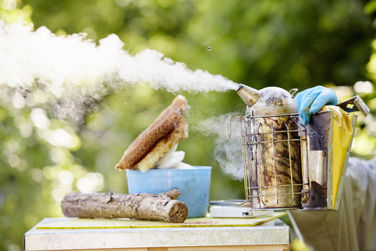 A beekeeper holding a metal smoker, puffing smoke across the top of a hive. 