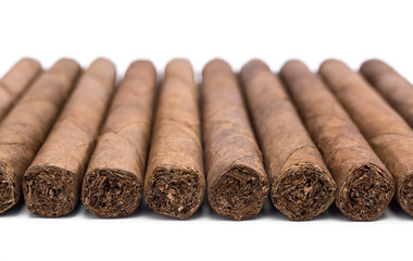 Cigars in a row on white