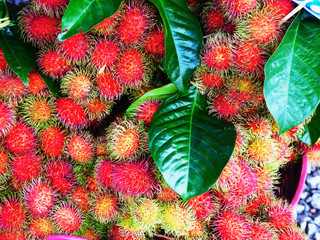 Rambutan