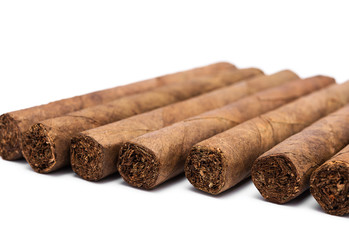 Cigars in a row on white