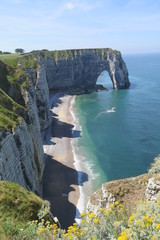 Kreidefelsen bei Etretat (Falaises d'Amont)