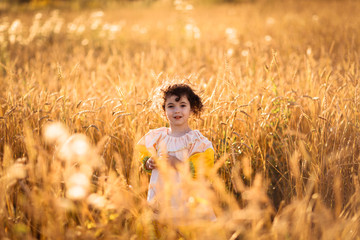 child in a field of wheat