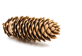 cones Christmas tree