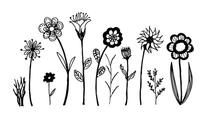 Set of flower doodles flower
