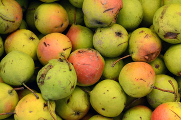 pure organic rare variety pear