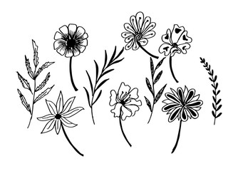 Set of flower doodles flower
