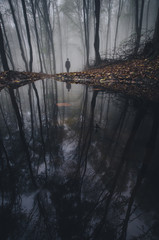 Obraz premium lake in forest with man reflection