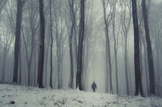 Fototapeta fantasy forest in winter with man