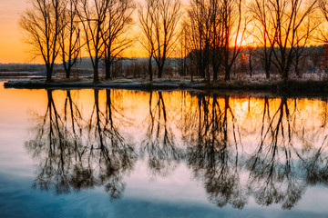 The trees on river bank reflected in water. 