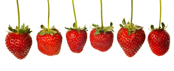 ripe red strawberries with stems and leaves isolated on white ba