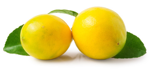fresh lemons with green leaves isolated on white background
