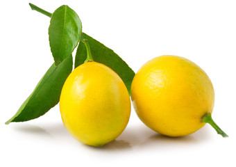 fresh lemons with green leaves isolated on white background