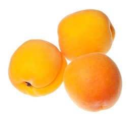 apricot isolated