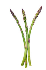 asparagus isolated