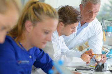 Obraz premium making prosthetic gums