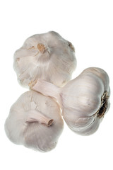 garlic isolated