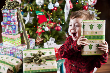 Christmas Joy