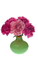 pink carnations in green vase
