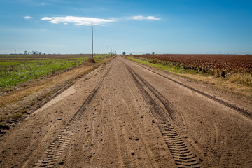 Naklejka premium Open Raod