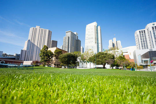 Grass in Yerba Buena Gardens park during day 