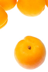 apricot isolated