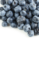Blueberries on a white background