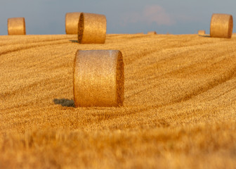 Strohballen auf dem Feld