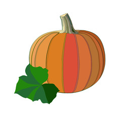 Pumpkin for Halloween