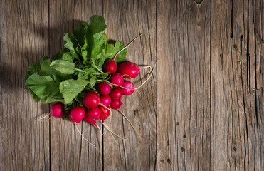 Bundle of fresh organic radishes, top view