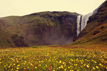 Fototapeta premium Waterfall in Iceland