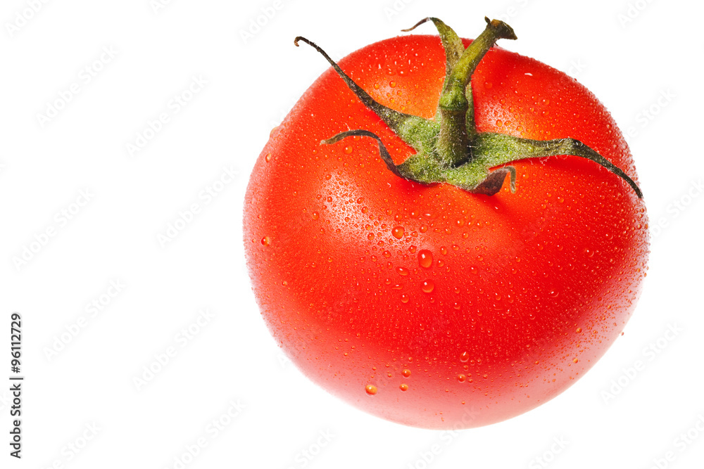 Sticker tomato isolated