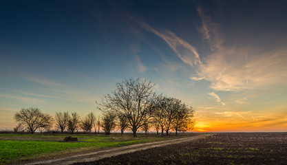 Fototapeta na wymiar Sunrise over a field