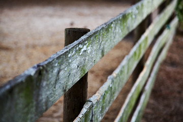 diagonal fence