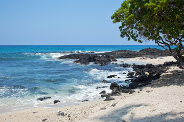 Hawaii coast